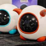 This robot companion is a cameraman for your pet
