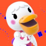 Mailbox: Non-Standard Switch 2s, Joy-Con Colours, Zelda amiibo We Need – Nintendo Life Letters