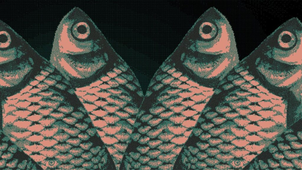 Meaningless Random Numbers – Official Announcement Trailer