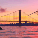 Microsoft Flight Simulator – Official California City Update 13 Trailer