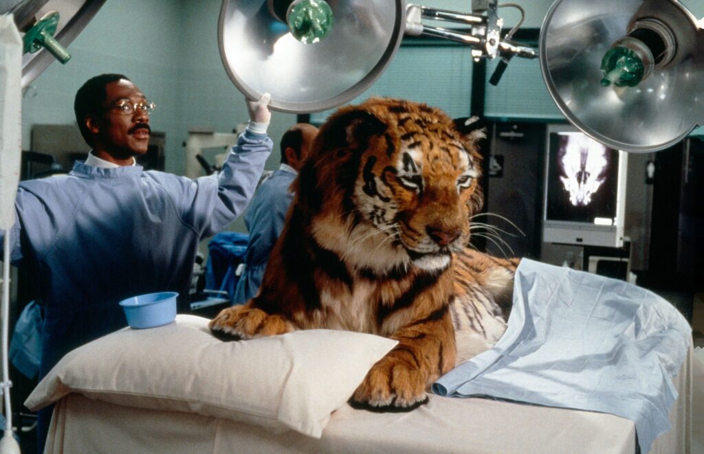 Check out one of Eddie Murphy’s best comedies (and its so-so sequel) before it leaves Netflix