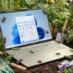 Microsoft just issued emergency out of band updates for Windows 11 — but it didn’t fix this bug that makes Outlook “completely unusable”