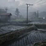 Silent Hill f Writer Was Told by Producer that Silent Hill is a Phenomenon, Not Just a Town