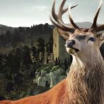 Way of the Hunter: Wild Europe – Official Launch Trailer