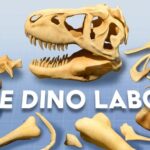 Le Dino Labo Brings Prehistoric Paleontology to Meta Quest