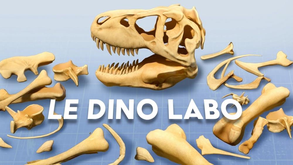 Le Dino Labo Brings Prehistoric Paleontology to Meta Quest