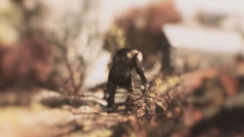 Bigfoot Has Been Found, And He’s In Fallout 76