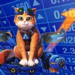 ‘Overwatch’ just hit its highest player base on Steam PC since launch — passing Battlefield 6 and Call of Duty