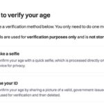 Good news, UK Discord users, we’re part of a Peter Thiel-linked data collection “experiment”