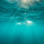 Apeiron Labs gets $29M to flood the oceans with autonomous underwater robots