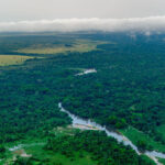 COVID-19 cleared the skies but also supercharged methane emissions