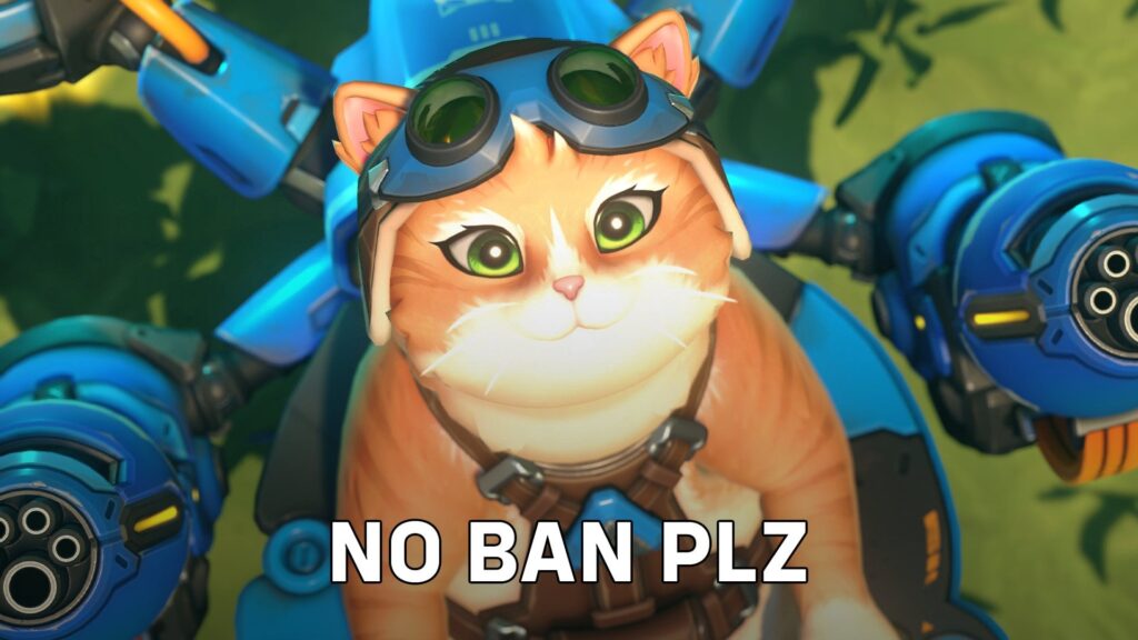 Blizzard Doesn’t Want You To Ban Jetpack Cat in Overwatch