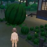 How to Obtain a Watermelon Fragment in Starsand Island
