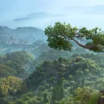 Ubisoft Appoints Assassin’s Creed Leadership Team Made Of Series Veterans