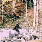 “It ain’t no unicorn”: These researchers have interviewed 130 Bigfoot hunters