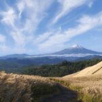 Forza Horizon 6 shows us little more of its environments in a new video