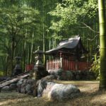 Forza Horizon 6 ups the ante with some pretty landscapes