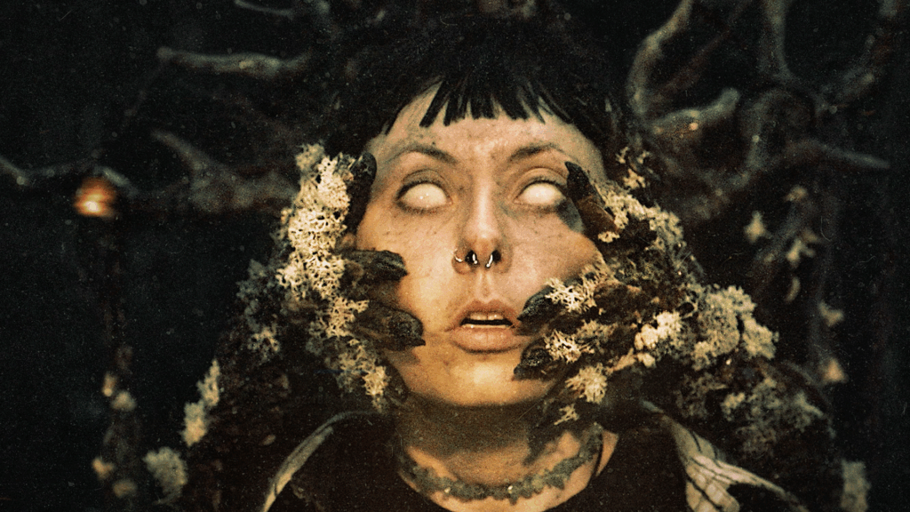 Heart of the Forest – Official Launch Trailer