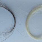 A century of hair samples proves leaded gas ban worked