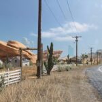 Latest Game in PS2 Action Series Practically Free on PS Store