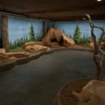 Ranger’s Path: National Park Simulator – Official ‘Memories in the Museum’ Trailer