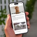 Ring brings its ‘Search Party’ feature for finding lost dogs to non-Ring camera owners