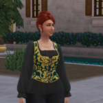 How to Find the Royal Envoy in The Sims 4