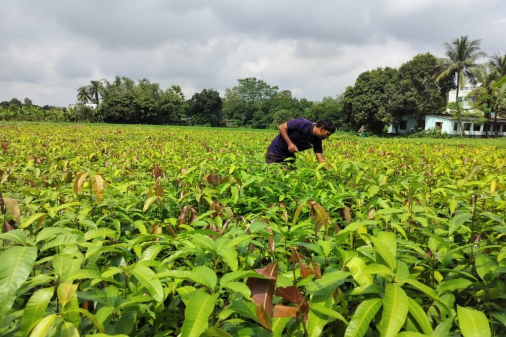 India’s Varaha bags $20M to scale carbon removal from the Global South