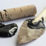 Never mind Band-Aids, Neanderthals had antiseptic birch tar