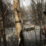 Remember The Not-Kojima Vaporware Abandoned? It Just Might Be Back