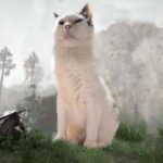 Crimson Desert Player Has The Best Companion: A Fat, Lazy Cat