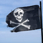 Authors’ lucky break in court may help class action over Meta torrenting