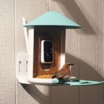 Amazon’s Big Spring Sale is a great time to get a fancy, AI-powered bird feeder