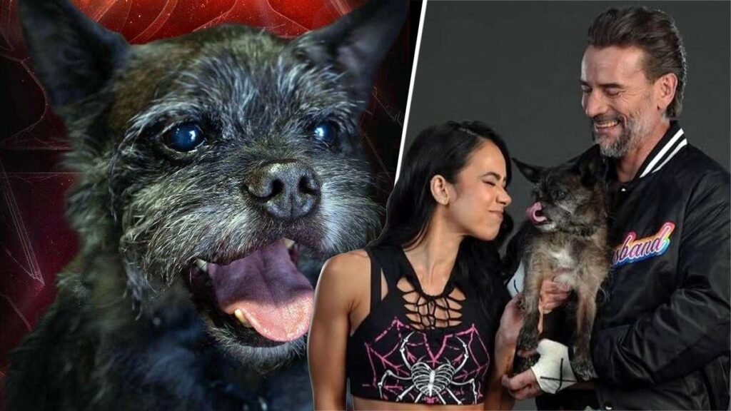 How WWE 2K26 is Helping CM Punk Grieve His Pizza-Loving Rescue Dog