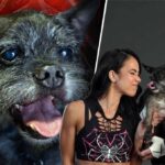 How WWE 2K26 is Helping CM Punk Grieve His Pizza-Loving Rescue Dog