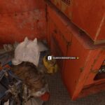 Arc Raiders ‘Outstanding Balance’ quest walkthrough