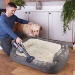 Here are our favorite spring cleaning deals from Amazon’s Big Spring Sale