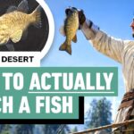 Crimson Desert: 5 Tips to Master the Fishing Minigame