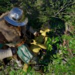 Crimson Desert: How to find and catch Blix