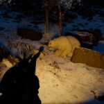 Crimson Desert: White Bear and Snowwhite Deer mount locations