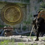 Trembling Woods puzzle walkthrough in Crimson Desert