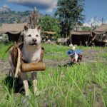 How to get pet armor in Crimson Desert