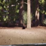 Don’t Mess With Bober – Official Console Launch Trailer