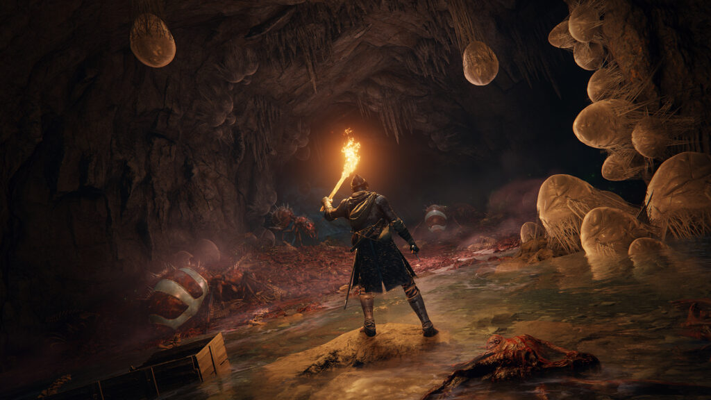 Elden Ring Tarnished Edition GDC 2026 Previews Indicate Improved Nintendo Switch 2 Performance