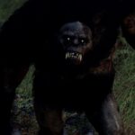 Fallout 76: The Backwoods – Official Launch Trailer