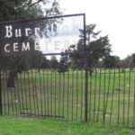 How moss helped convict grave robbers of a Chicago cemetery