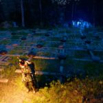 How To Solve Duskwood Checker Puzzle In Crimson Desert