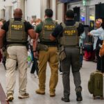 Federal immigration agents filmed making airport arrests as Trump calls in ICE to ease security line delays
