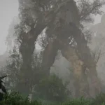 Crimson Desert Update 1.01.00 Patch Notes