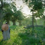 This Crimson Desert interactive map is already up and covers all of Pywel — use it to find anything and everything in the massive open-world hit